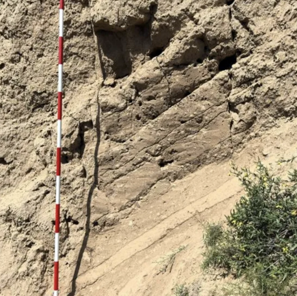 Các nhà nghiên cứu cho hay đoạn đường dài khoảng 13 km trên là một phần của Tần Trực Đạo - tuyến giao thông chiến lược do Hoàng đế Tần Thủy Hoàng ra lệnh xây dựng cách đây hơn 2.000 năm. Ảnh: Pingliang Museum.