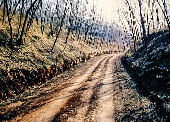 Ngoài ra, các nhà khảo cổ còn phát hiện một điểm di tích nhỏ thời Tần - Hán nằm sát tuyến đường, được cho là trạm dịch hoặc cơ sở bảo trì. Họ cũng tìm thấy một số mảnh ngói gốm đặc trưng của giai đoạn này trên mặt đường giúp xác nhận niên đại công trình. Ảnh: travelchinaguide.com.