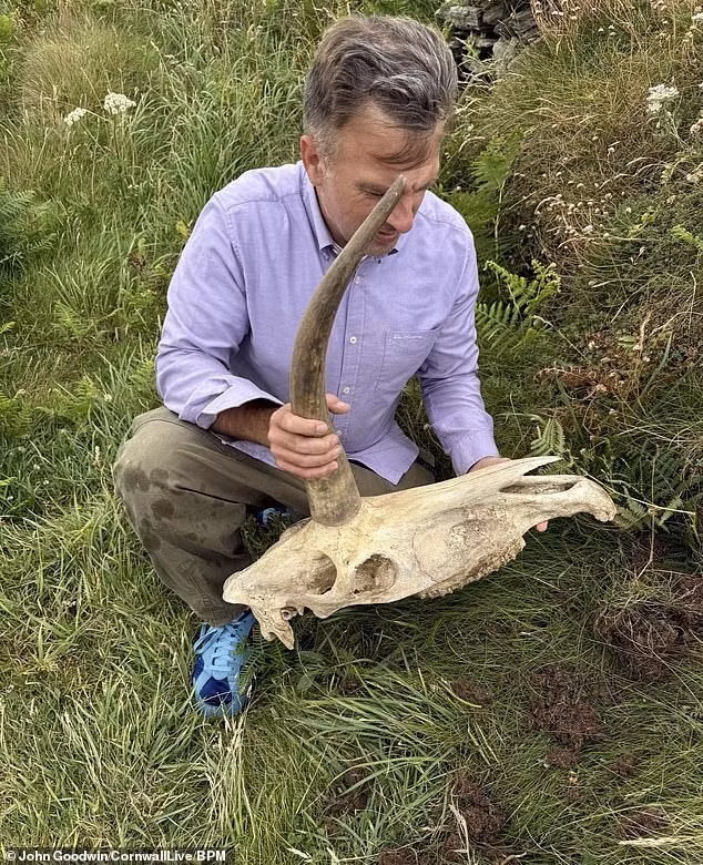 Ông Goodwin, thợ sửa ống nước 46 tuổi đến từ Canada, đang đi nghỉ cùng vợ Val và con gái tại khu vực linh thiêng St Nectan's Glen, bác bỏ những thông tin cho rằng ông đã tạo ra hộp sọ đó để lừa gạt mọi người.