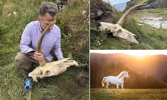 Ông Goodwin đã mang hộp sọ kỳ lạ tới Bảo tàng Phù thủy và Ma thuật gần Boscastle nhưng nơi này đã từ chối tiếp nhận. Trên đường về London để kịp chuyến bay, ông đã để lại nó tại The Stonehenge Inn, Durrington, Wiltshire.