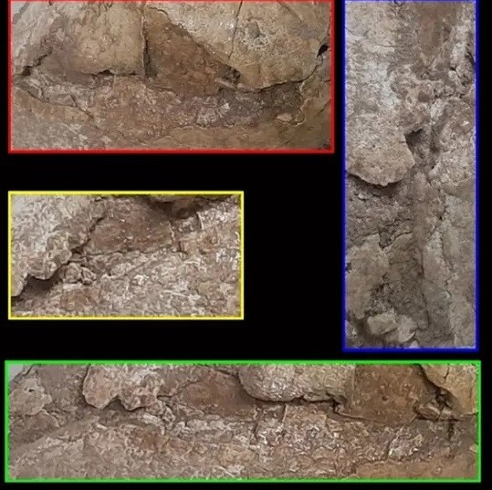 Chega Sofla là một địa điểm khảo cổ học có niên đại thiên niên kỷ 5 trước Công nguyên ở phía tây Iran, phía bắc của Vịnh Ba Tư. Nghĩa trang thời tiền sử tại đây gồm cả các ngôi mộ đơn lẻ và các ngôi mộ tập thể, có thể là mộ gia đình. Khu vực này đã có người ở vào khoảng năm 4700 trước Công nguyên đến năm 3700 trước Công nguyên. Đây là một "thiên niên kỷ đầy biến cố". Ảnh: Mahdi Alirezazadeh.