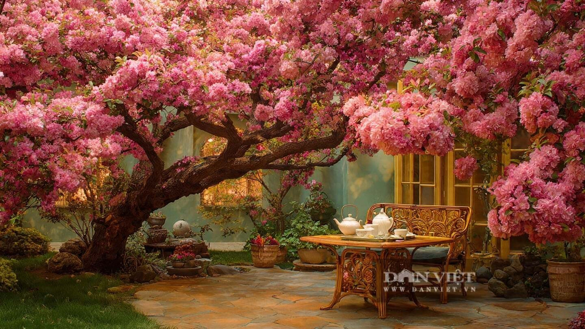 2. Tây Phủ Hải Đường: Tây phủ hải đường (táo dại) gây thương nhớ với sắc hồng trắng mong manh, hương thơm dịu nhẹ và tuổi thọ bền bỉ theo năm tháng.