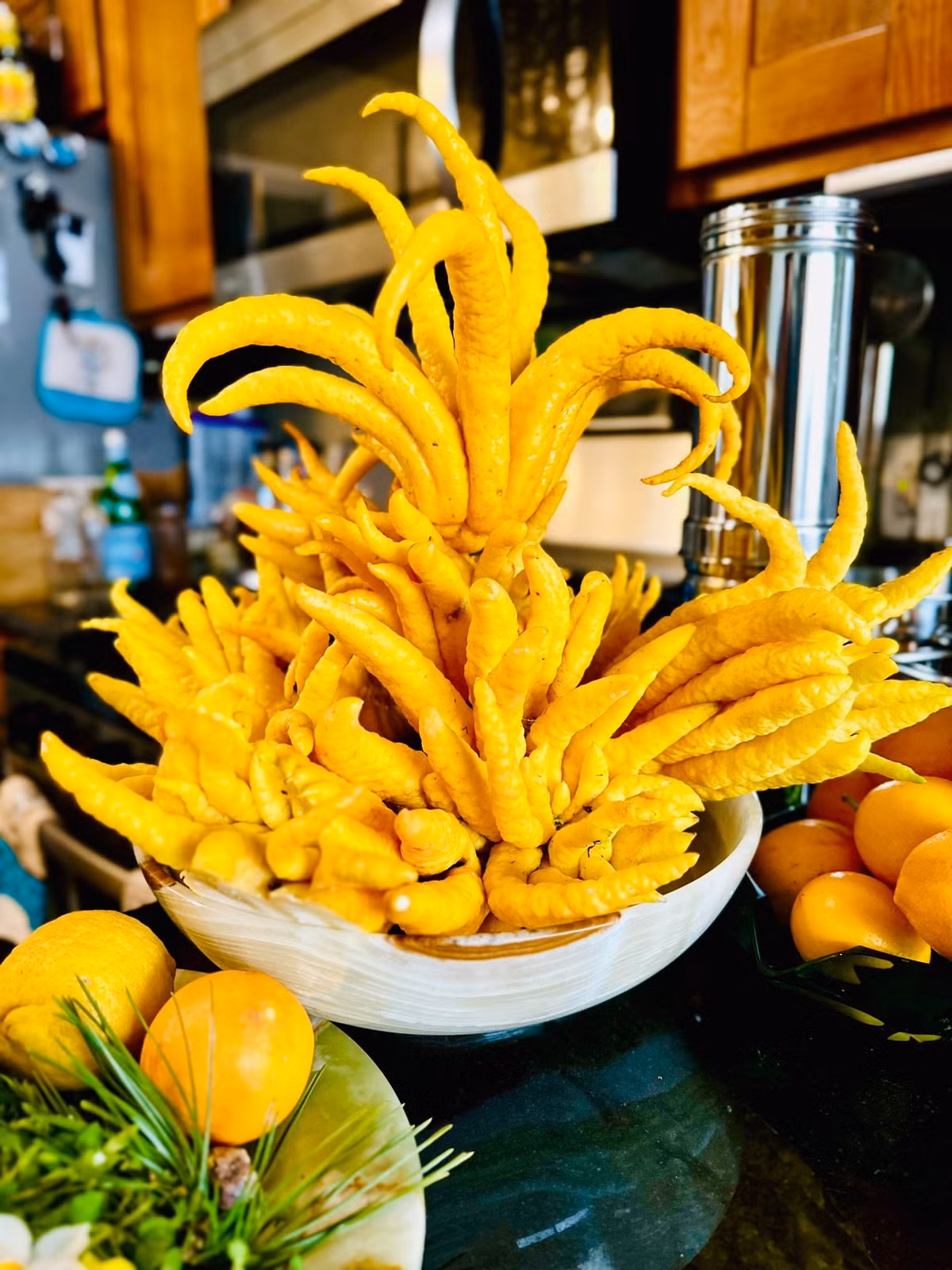 Nó có mùi hương tự nhiên hơn nhiều so với liệu pháp hương thơm và cũng có thể dùng làm vật trang trí. Ảnh minh họa essentialoilapothecary