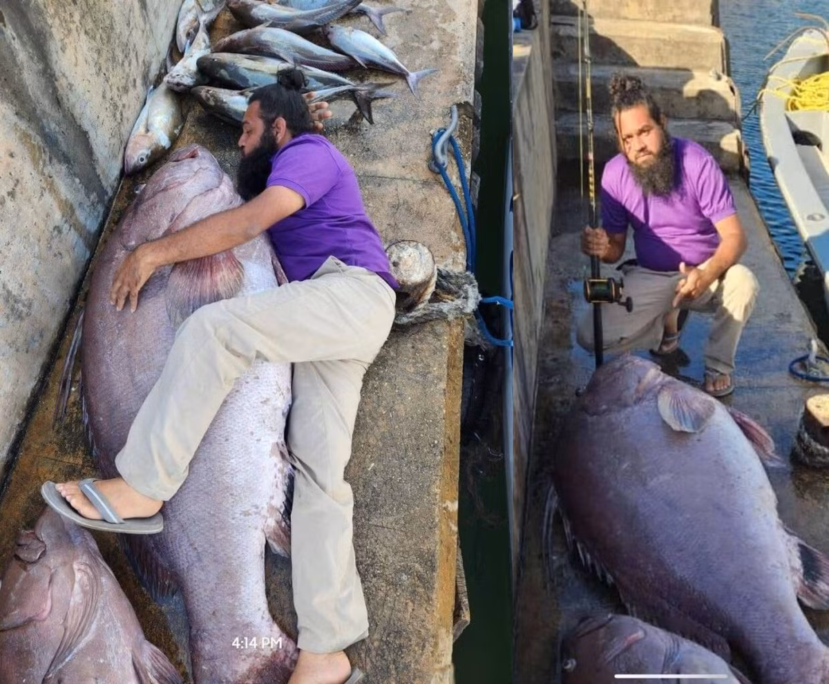 Theo lời anh Boodram, trong một chuyến đi câu trước đó, anh bị ốm và không thể giúp đỡ bạn bè. Lần này, anh rất vui vì có thể cùng những người bạn câu được con cá mú khủng.