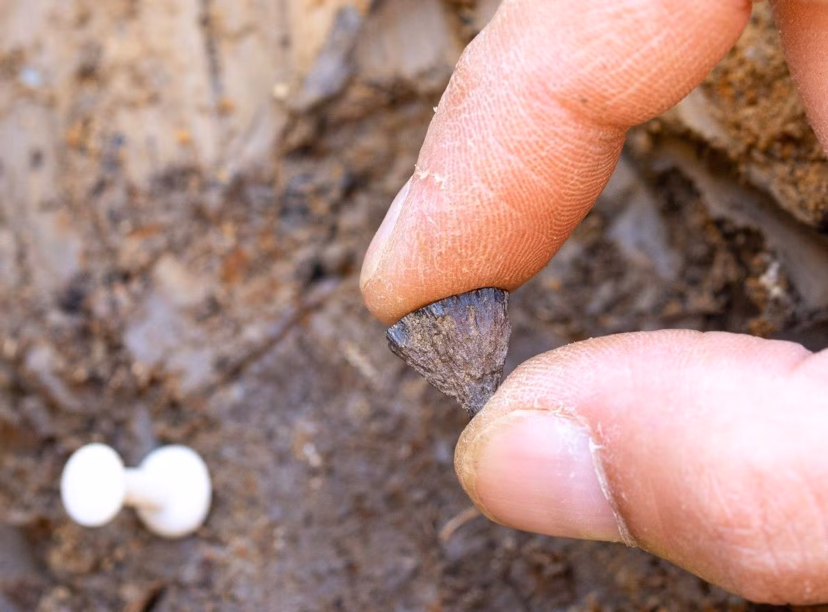 Trước đây, bằng chứng rõ ràng nhất về việc con người tự nhóm lửa thay vì chỉ tận dụng lửa từ các đám cháy tự nhiên được tìm thấy ở Pháp với niên đại khoảng 50.000 năm. Ảnh: Jordan Mansfield.