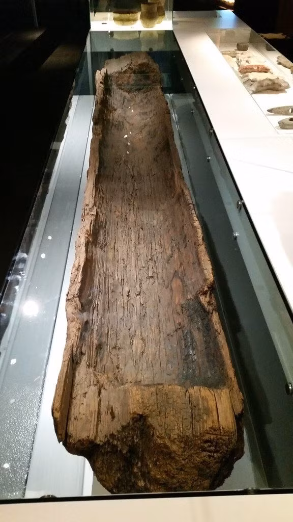 Bằng chứng cho điều này đến từ DNA. Một nghiên cứu gần đây của các chuyên gia đã phân tích gần 2.500 bộ gene từ những người thổ dân cổ đại và hiện đại trên khắp Australia và các quốc gia lân cận cũng như điều tra xem khi nào các quần thể người ở đây tách biệt khỏi các quần thể trên các lục địa khác. Ảnh: saltyhull.com.