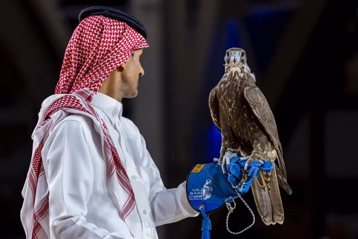 Cũng trong phiên đấu giá đó, một con chim ưng non được bán với giá 128.000 SR (gần 900 triệu đồng). Ảnh: bs42.com.