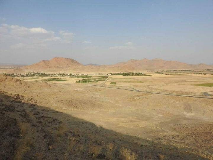 Sau thời gian nghiên cứu, phân tích tỉ mỉ bức vẽ chạm khắc trên đá, nhóm chuyên gia xác định đó là hình ảnh một con bọ ngựa. Ảnh: Mohammad Naserifard.