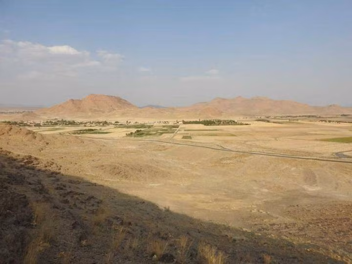 Sau thời gian nghiên cứu, phân tích tỉ mỉ bức vẽ chạm khắc trên đá, nhóm chuyên gia xác định đó là hình ảnh một con bọ ngựa. Ảnh: Mohammad Naserifard.