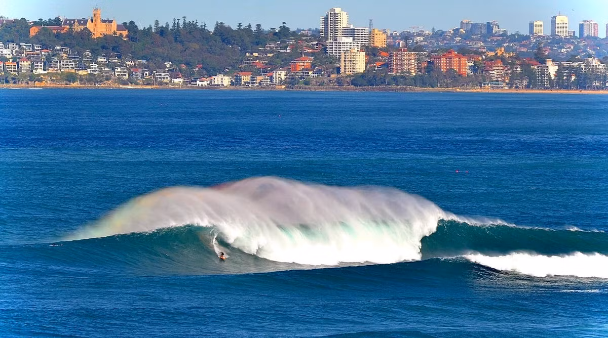 Chính quyền một số địa phương thuộc bang New South Wales của Australia ngày 26/1 đã quyết định đóng 5 bãi biển nổi tiếng sau khi phát hiện cá mập xuất hiện ở những nơi này. Các bãi biển bị đóng cửa bao gồm: Dee Why, Manly, Mona Vale, Bleu Bay và Elizabeth. Ảnh: Darcie Collington.