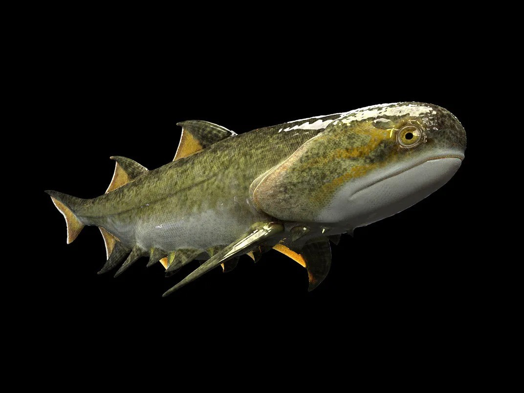 Nhóm nghiên cứu phát hiện thêm rằng quá trình sự sống Trái đất phục hồi diễn ra rất chậm trong 23 triệu năm. Hầu hết các dòng dõi động vật có hàm thời Silur đã đa dạng hóa dần dần và không liên tục trong giai đoạn đầu của quá trình phục hồi. Ảnh: Heming Zhang.