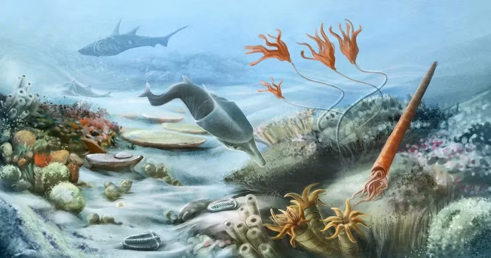 Thay vì lan rộng nhanh chóng khắp các đại dương cổ đại, "con cháu" của Gnathostomes, còn được các chuyên gia gọi là "dòng dõi ma" đã tiến hóa trong sự cô lập. Ảnh: Alena Hovorkova.