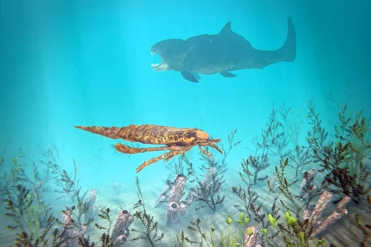 Các chuyên gia phát hiện một sự kiện tuyệt chủng hàng loạt vào khoảng 445 triệu năm trước đến 443 triệu năm trước - cuối kỷ Ordovic - trùng khớp với sự thiếu vắng hồ sơ hóa thạch của Gnathostomes, tức động vật có xương sống và có quai hàm sống ở biển khơi, tổ tiên gần gũi nhất trong kỷ nguyên này của loài cá. Ảnh: Aunt_Spray / Getty Images.