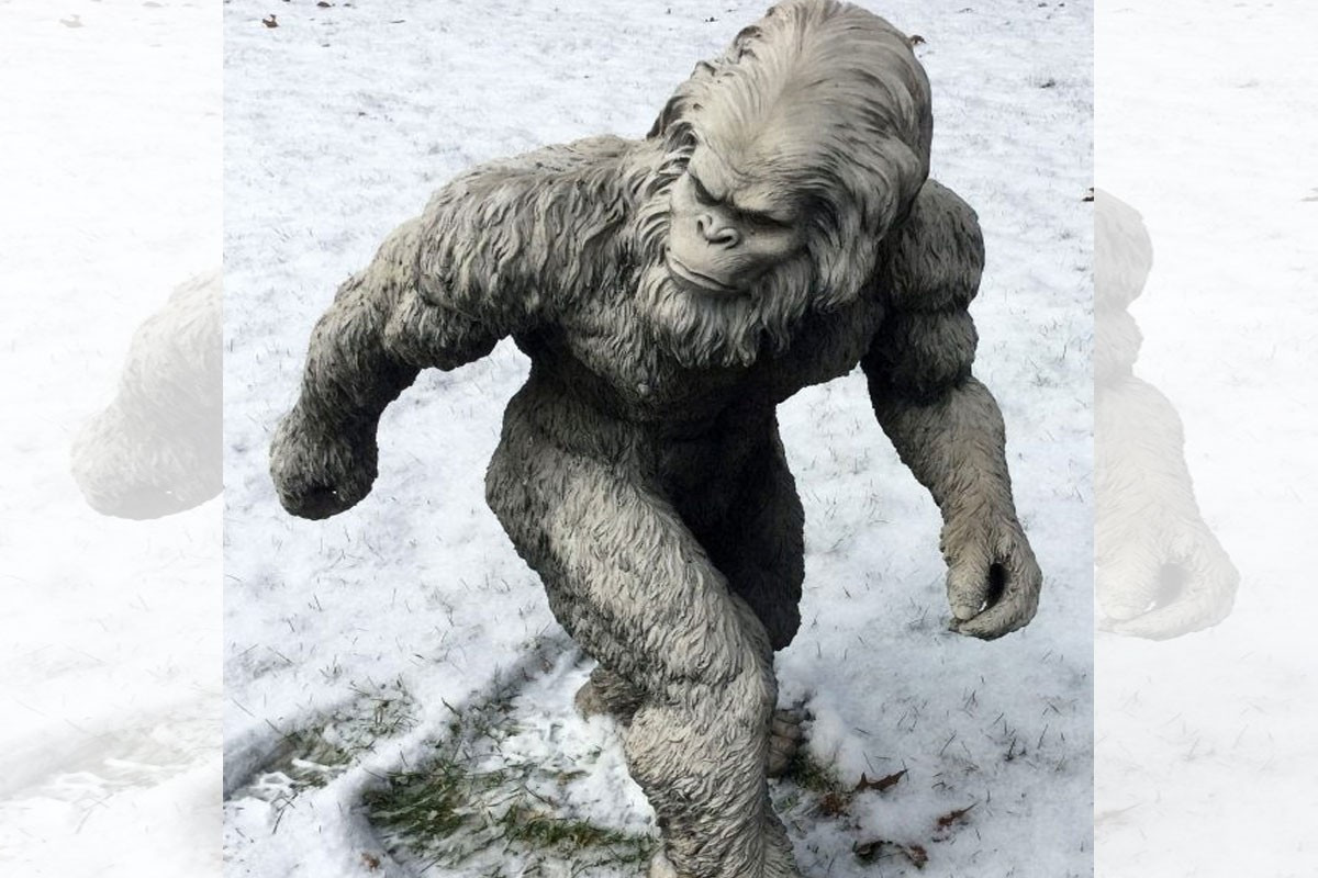 View - Xôn xao bằng chứng mới nhất về quái thú Bigfoot | Báo Tri thức và Cuộc sống - TIN TỨC PHỔ BIẾN KIẾN THỨC 24H