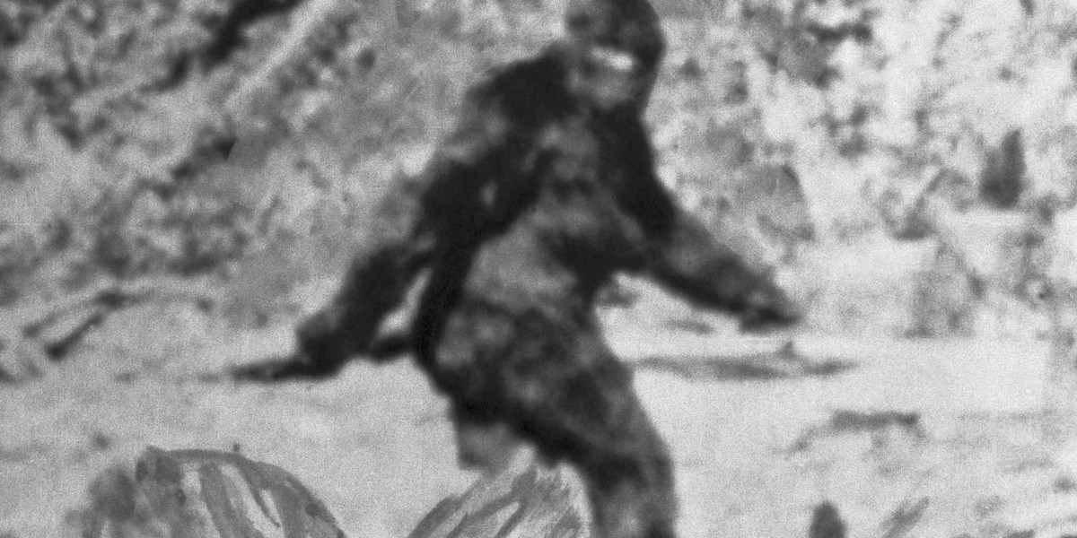 Đoạn video, hiện thu hút hàng triệu lượt xem trên mạng, ghi hình được một sinh vật to lớn, đầy lông di chuyển giữa các cây thông rậm rạp. Nó dừng lại giữa 2 thân cây, dường như nhìn thẳng vào ống kính máy ảnh trước khi biến mất sâu vào trong rừng. Ảnh: Bettmann Archive/Getty Images.