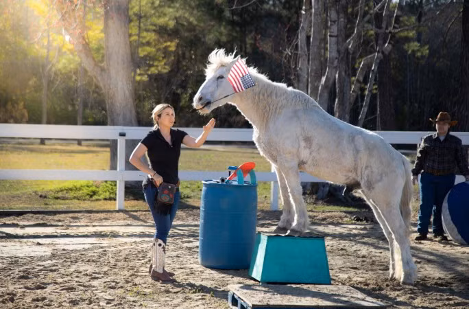 "Gringo rất tâm huyết với công việc của mình. Nó yêu thích việc mình làm", cô Zepeda trả lời phỏng vấn với đài WECT-TV. Ảnh: kids.guinnessworldrecords.com.