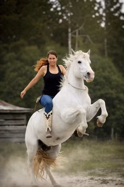 Gringo đã hoàn thành tất cả 38 động tác chỉ trong 2 phút 47 giây. Theo đó, nó đã xác lập kỷ lục Guinness thế giới về số lượng động tác biểu diễn nhiều nhất đối với một con ngựa. Ảnh: kids.guinnessworldrecords.com.