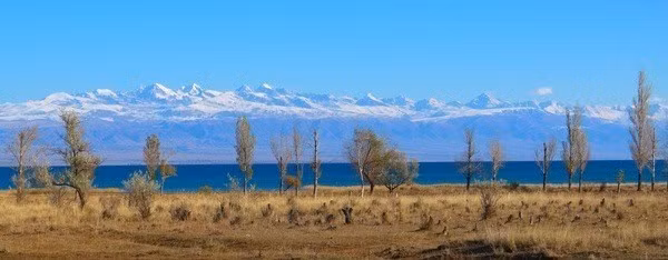 Tuy nhiên, sự thịnh vượng của thành phố Toru-Aygyr đột ngột kết thúc vào thế kỷ 15 khi một trận động đất tàn khốc đã khiến nơi đây chìm xuống hồ Issyk-Kul. Sau khi thảm họa kinh hoàng này xảy ra, dân số trong khu vực đã thay đổi đáng kể. Ảnh: gobackpacking.com.