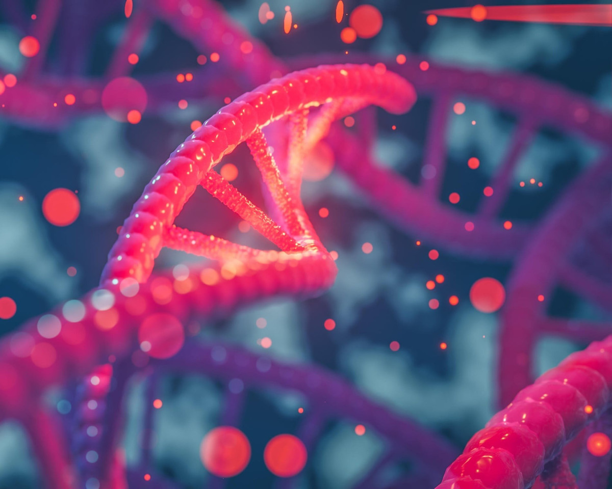 Hiện nhóm nghiên cứu vẫn chưa rõ lý do tại sao người dân ở Grotta della Monaca lại có cuộc hôn nhân cận huyết như vậy. Cộng đồng này không quá nhỏ và dường như không có hệ thống phân cấp hay thừa kế hoàng gia, nơi mà những cuộc hôn nhân cận huyết giúp củng cố của cải và quyền lực. Ảnh: Iliescu Catalin/Alamy.