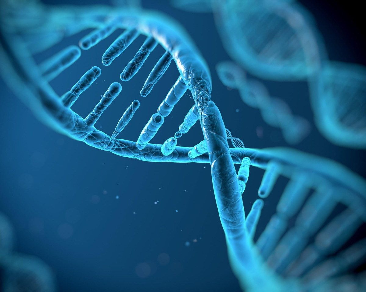 Từ đây. các chuyên gia nhận định cậu bé trên là kết tinh của một mối quan hệ loạn luân cấp độ một. Cậu bé là con trai của người đàn ông trưởng thành được chôn cất cùng địa điểm với chính con gái ruột. Hiện các nhà nghiên cứu chưa tìm thấy hài cốt của mẹ bé trai. Họ đã kiểm tra gene của cậu bé trên để xác định xem cậu có mắc bất kỳ rối loạn di truyền hiếm gặp nào do cuộc hôn nhân cận huyết của cha mẹ hay không. Kết quả là họ không tìm thấy điều gì bất thường. Ảnh: Vitaliy Smolygin/Alamy.