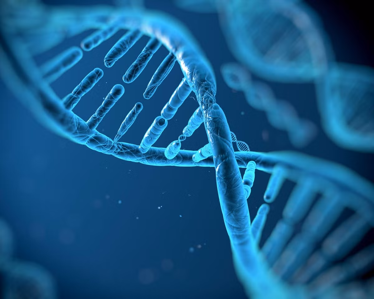 Từ đây. các chuyên gia nhận định cậu bé trên là kết tinh của một mối quan hệ loạn luân cấp độ một. Cậu bé là con trai của người đàn ông trưởng thành được chôn cất cùng địa điểm với chính con gái ruột. Hiện các nhà nghiên cứu chưa tìm thấy hài cốt của mẹ bé trai. Họ đã kiểm tra gene của cậu bé trên để xác định xem cậu có mắc bất kỳ rối loạn di truyền hiếm gặp nào do cuộc hôn nhân cận huyết của cha mẹ hay không. Kết quả là họ không tìm thấy điều gì bất thường. Ảnh: Vitaliy Smolygin/Alamy.