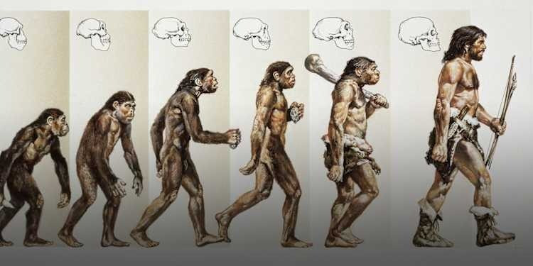 Little Foot, với niên đại gây tranh cãi từ 2,6 đến hơn 3 triệu năm, vẫn đang kiên nhẫn chờ đợi con người hiện đại giải mã hoàn toàn câu chuyện của mình, hứa hẹn sẽ tiếp tục viết lại những trang sử quan trọng về nguồn gốc nhân loại. Ảnh: DEA Picture Library/De Agostini/Getty Images.