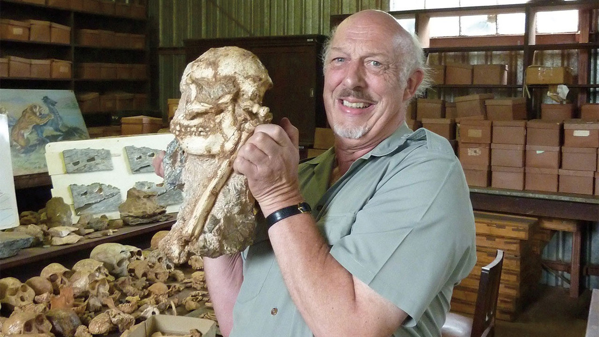 Sự pha trộn độc đáo này dẫn đến kết luận rằng Little Foot là một loài mới và là một mắt xích riêng biệt trong lịch sử tiến hóa của nhân loại. Ảnh: M. BALTER/SCIENCE.