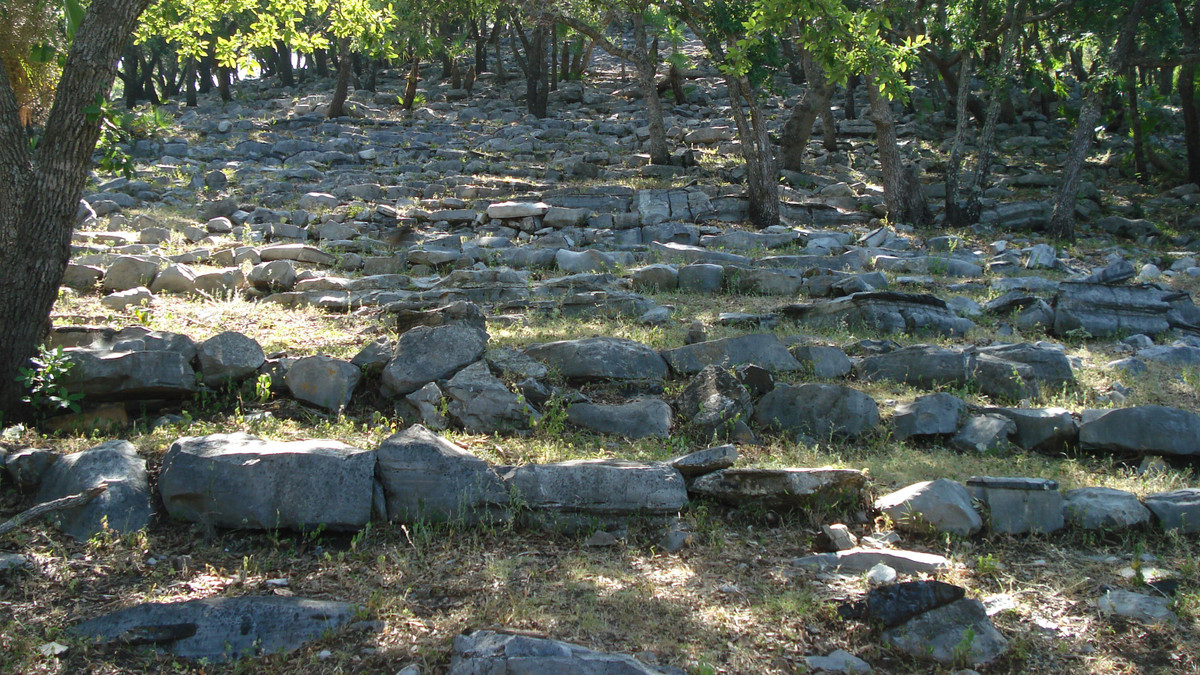 Những hộp sọ có hình giống khối lập phương, với phần đỉnh phẳng tạo nên hình dáng vuông vức, thường được tìm thấy ở những địa điểm xa xôi như El Zapotal ở Veracruz và các khu định cư rải rác của người Maya ở đông nam Mexico. Ảnh: INAH.