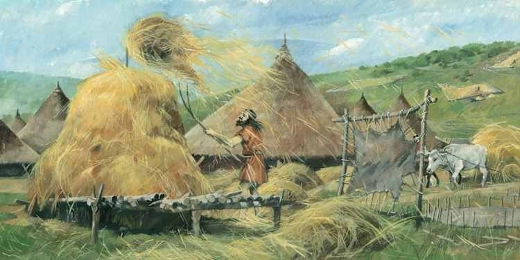 “Kết quả xác định niên đại bằng phương pháp carbon phóng xạ cho thấy họ qua đời sau năm 2250 trước Công nguyên. Bộ hài cốt ở phía trên có lẽ được chôn cất ngay sau đó hoặc muộn hơn vài thế hệ so với thi hài được mai táng ở phía dưới”, chuyên gia Jess Thompson cho biết. Ảnh: English Heritage/Heritage Images/Getty Images.