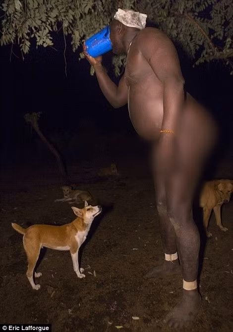 Mỗi ngày, các thành viên tham gia lễ hội sẽ uống khoảng 1 đến 2 lít sữa và tiết bò. Nhờ chế độ ăn uống như vậy, trọng lượng cơ thể của họ tăng mạnh và số đo vòng bụng cũng tăng lên nhanh chóng. Ảnh: Eric Lafforgue.