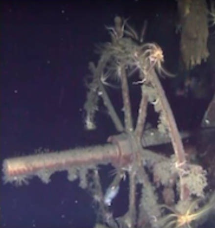 Trong số 591 thành viên thủy thủ đoàn trên tàu Dmitrii Donskoi tham gia trận Tsushima, khoảng 60 người thiệt mạng và 120 bị thương trước khi thuyền trưởng cho con tài neo đậu gần đảo Ulleungdo và ra lệnh cho thủy thủ lên bờ. Ảnh: Shinil Group.