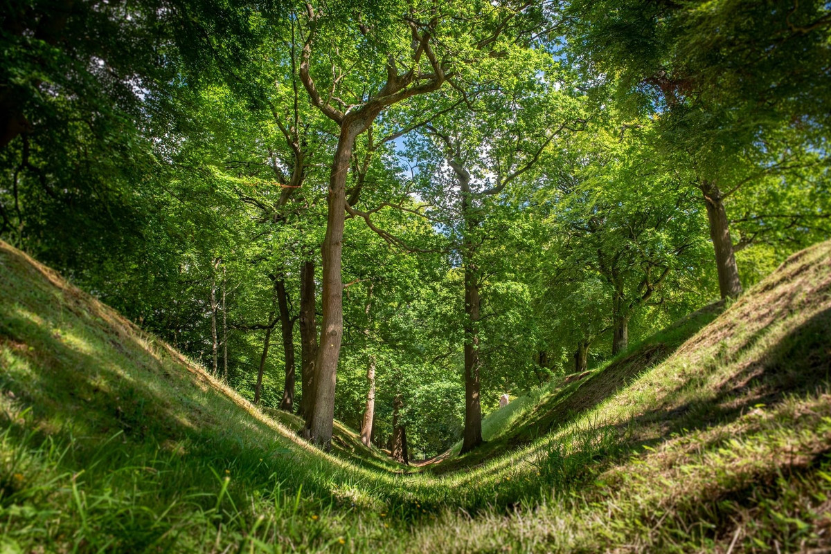 Pháo đài quân sự của người La Mã mới được phát hiện có niên đại từ giữa thế kỷ 2 - 3. Công trình được xây dựng ở phía Nam của Bức tường Antonine thuộc thị trấn Bearsden, cách Glasgow khoảng 8 km về phía Tây Bắc và trải dài trên khu vườn của 3 dinh thự tư nhân trên một "khu vực đất cao ngay cạnh Bức tường Antonine". Ảnh: antoninewall.org.