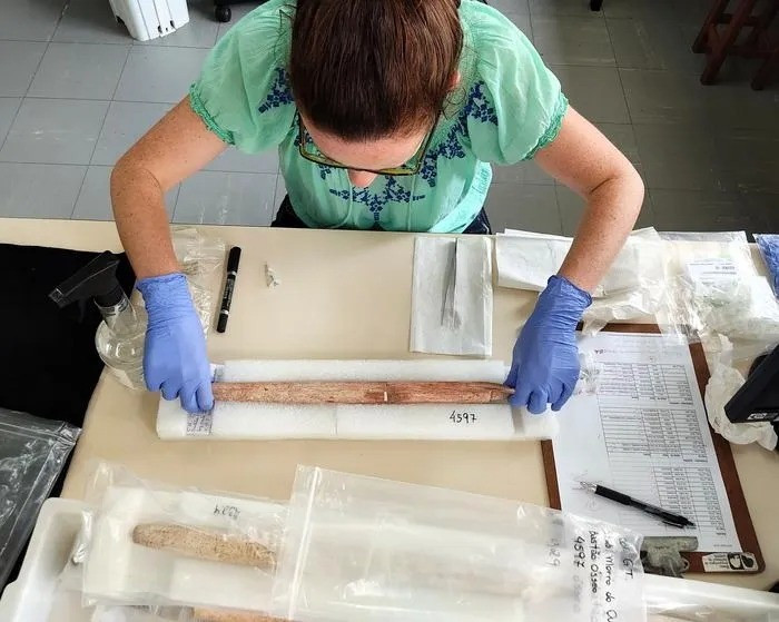 Đối với người tiền sử, cá voi cung cấp nguồn thực phẩm lớn để có những bữa ăn thịnh soạn. Ngoài thịt cá để làm thức ăn, dầu của cá voi còn được dùng để sưởi ấm, xương để làm công cụ, đồ trang sức và phụ kiện. Ảnh: Autonomous University of Barcelona.