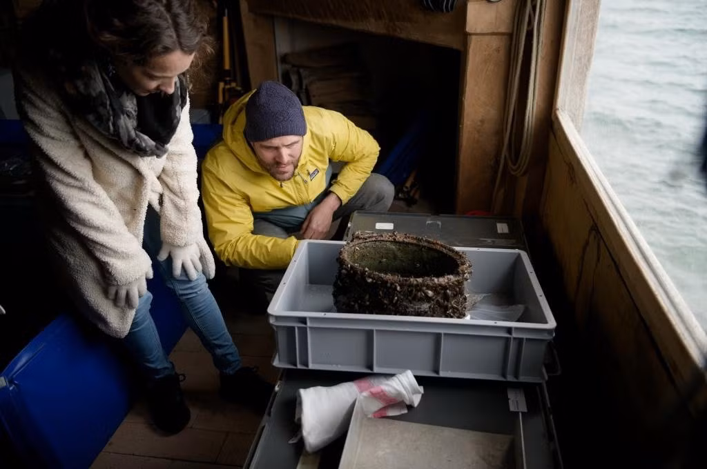 Kết quả phân tích niên đại bằng phương pháp vòng cây trên tấm ván cho thấy hàng hóa trên tàu có niên đại ít nhất là vào năm 17 sau Công nguyên. Từ đây, các chuyên gia suy đoán con tàu có thể đã bị chìm trong khoảng thời gian từ năm 20 đến năm 50 sau Công nguyên. Ảnh: Jam Press/Octopus Foundation.
