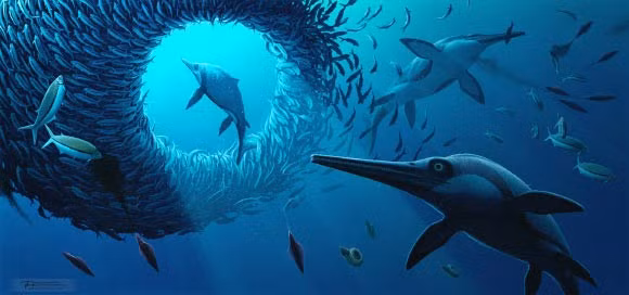 Các chuyên gia tại Đại học Manchester cho biết đây là "mẫu vật duy nhất từng được biết đến của "Rồng kiếm xứ Dorset" và giúp lấp đầy khoảng trống quan trọng trong hồ sơ tiến hóa của loài ngư long". Ảnh: Bob Nicholls.