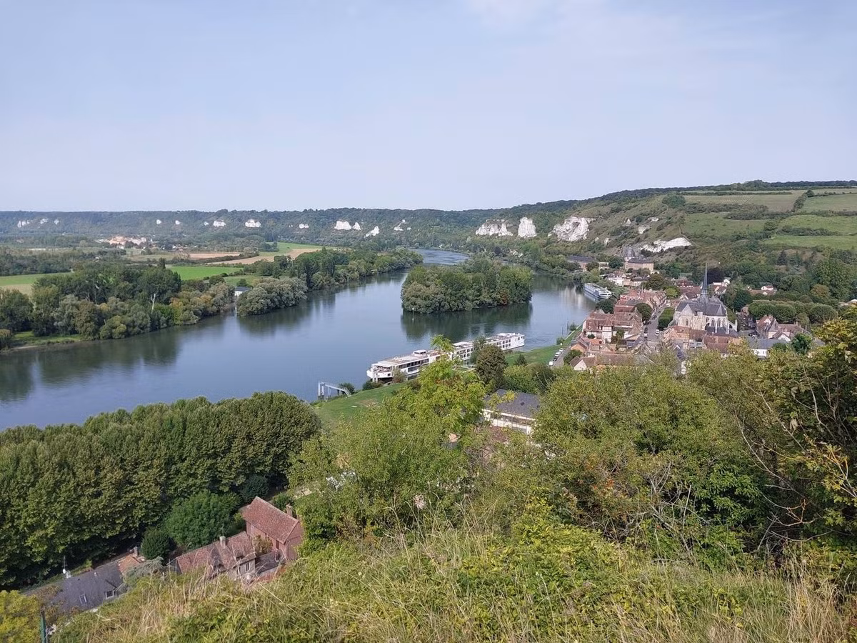 Kết quả phân tích gỗ của chuyên gia B. Lecomte-Schmitt đã xác định được 5 loại gỗ tiềm năng có thể dùng làm cán gỗ của chiếc liềm. Trong đó, liễu là ứng cử viên có nhiều khả năng nhất dựa trên cấu trúc tế bào được bảo tồn. Ảnh: komoot.com.