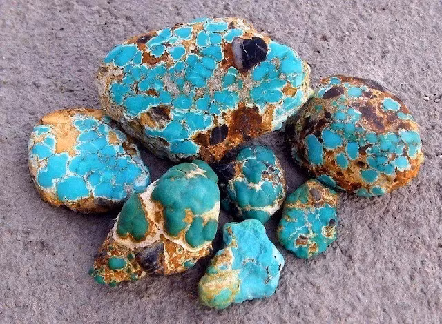 Nhiều vết nứt chưa lành được phát hiện trên phần cột sống trên của người đàn ông. Người này cũng bị gãy xương sườn, xương bả vai và xương đòn, cho thấy "một lực tác động mạnh lên một vùng rộng" ở phần lưng trên, tiết lộ rằng "phần ngực trên bên trái của ông chịu lực tác động chính". Điều này đã dẫn tới một số đốt sống bị lệch và làm xẹp lồng ngực. Ảnh: geologyin.com.