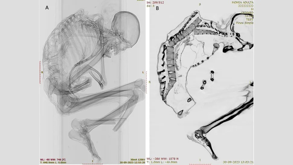"Người thợ mỏ rất có thể đã vào hầm mỏ và dùng búa để khai thác ngọc lam. Trong trường hợp đá rơi, không có bất kỳ biện pháp bảo vệ nào cho an toàn tính mạng của người thợ mỏ", nhóm nghiên cứu cho hay. Ảnh: Francisco Garrido and Catalina Morales.