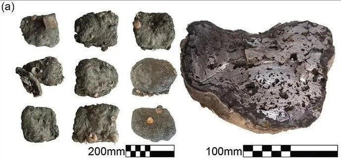 Khám phá này được củng cố thêm bằng các ghi chép lịch sử về thương mại hàng hải của Ai Cập trong thời kỳ này. Báo cáo của Wenamun - một văn bản văn học Ai Cập từ khoảng năm 1000 trước Công nguyên - có mô tả các chuyến hải hành đến Dor trong thời gian này. Ảnh: A. Yasur-Landau et al., Antiquity (2025).