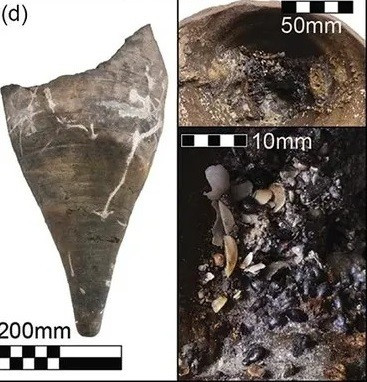 Xác tàu đắm mang tên Dor L2 là con tàu "trẻ nhất" trong số 3 tàu đắm được phát hiện. Có niên đại vào cuối thế kỷ thứ 7 trước Công nguyên hoặc đầu thế kỷ thứ 6 trước Công nguyên, xác tàu này chứa hàng hóa còn nguyên vẹn nhất so với 2 tàu đắm còn lại. Ảnh: A. Yasur-Landau et al., Antiquity (2025).