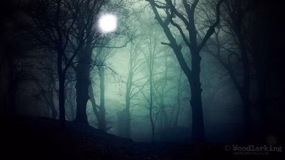 Theo Tiến sĩ Zare, một nghịch lý là lửa bị nước dập tắt nhưng những giọt nước nhỏ có thể tạo ra lửa. Ảnh: woodlarking.