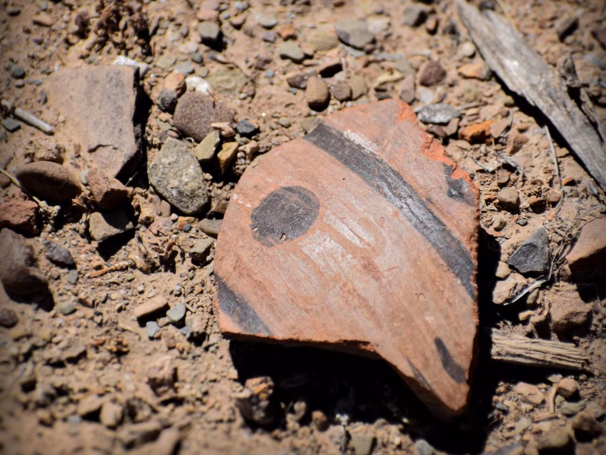 Theo các nhà nghiên cứu, phát hiện này có thể cung cấp thêm thông tin về nền văn minh Tiwanaku - một trong những nền văn minh sớm nhất ở dãy Andes và xuất hiện trước đế chế Inca. Nền văn minh Tiwanaku biến mất một cách bí ẩn khoảng 1.000 năm trước. Ảnh: José Capriles,Penn State/Creative Commons.