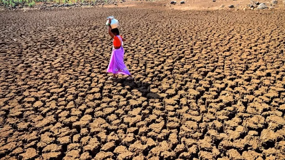 Theo thống kê, thế giới đã mất đi một lượng lớn đất ngập nước, với khoảng 410 triệu hecta, gần bằng diện tích Liên minh châu Âu, biến mất trong năm thập kỷ qua. Ảnh: Racaille1950, Wikimedia Commons.