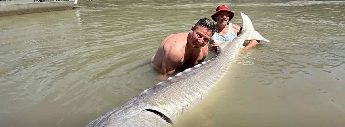 View - 'Quái vật' sông sâu hơn 100 tuổi bị cần thủ bất ngờ tóm sống | Báo Tri thức và Cuộc sống - TIN TỨC PHỔ BIẾN KIẾN THỨC 24H