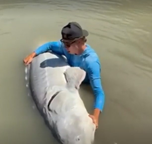 View - 'Quái vật' sông sâu hơn 100 tuổi bị cần thủ bất ngờ tóm sống | Báo Tri thức và Cuộc sống - TIN TỨC PHỔ BIẾN KIẾN THỨC 24H