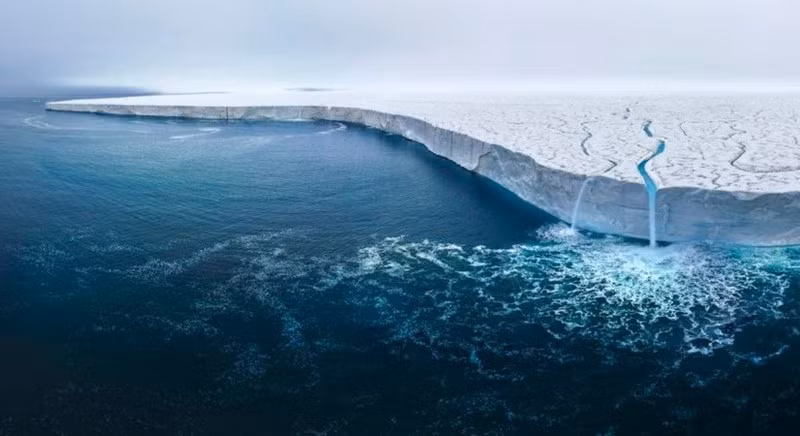 Steidle, người sống tại Hamptons ở Long Island, cho biết trong một thông cáo báo chí từ ban tổ chức cuộc thi: "Nhiếp ảnh trên không mang lại rất nhiều khả năng chưa được khám phá". "Mỗi ngày đều thú vị".