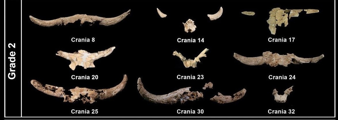 Nhóm chuyên gia cho hay hang Des-Cubierta đã trải qua nhiều vụ sạt lở đá trong hàng thiên niên kỷ sau khi được sử dụng. Vì vậy, tác giả chính của nghiên cứu, Lucía Villaescusa Fernández và các đồng nghiệp đã phân tích vai trò của những biến động này tách biệt khỏi hoạt động của người Neanderthal. Ảnh: L. Villaescusa et al., Archaeological and Anthropological Sciences (2026); CC BY 4.0.