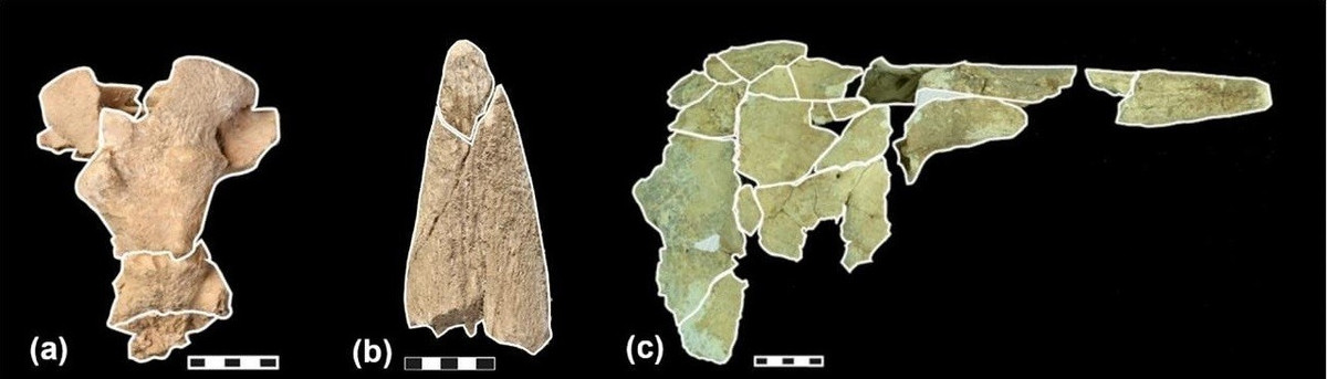 Mặc dù không thể đo lường trực tiếp khung thời gian và thời lượng chính xác của truyền thống này vẫn chưa chắc chắn nhưng nhóm nghiên cứu cũng phát hiện các hộp sọ động vật đã được đặt ở những khu vực cụ thể trong hang động nhiều lần trong một thời gian dài. Ảnh: L. Villaescusa et al., Archaeological and Anthropological Sciences (2026); CC BY 4.0.