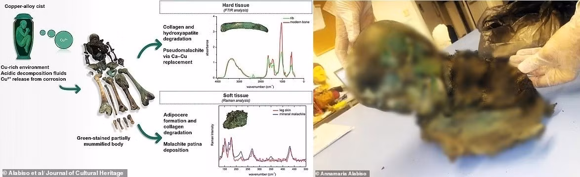 Mới đây, một nhóm chuyên gia thông tin đã tìm ra nguyên nhân khiến thi hài thiếu niên gần như hoàn toàn chuyển sang màu xanh lá cây. Ảnh: Alabiso el al/Journal of Cultural Heritage/Annamaria Alabiso.