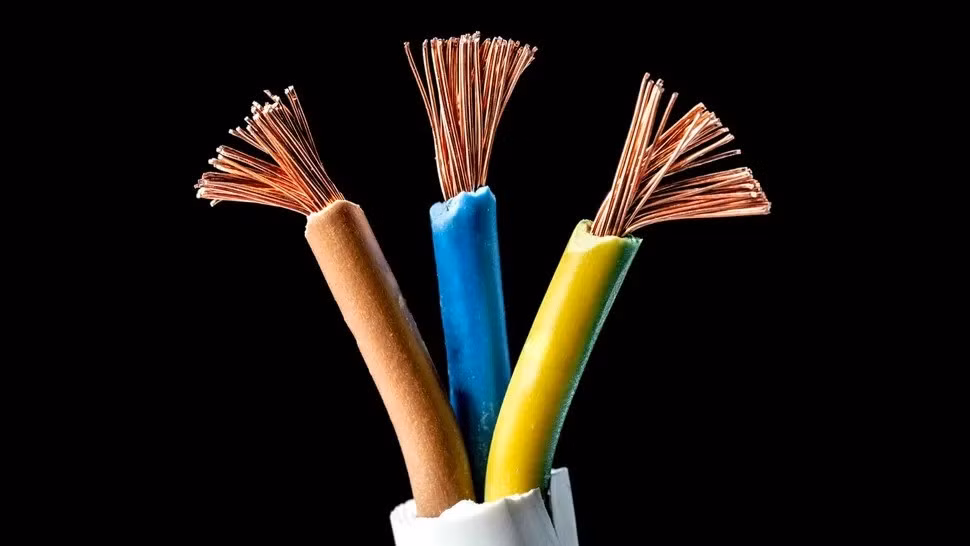 Các chuyên gia cho hay manh mối về màu xanh của xác ướp nằm ở chiếc hộp đồng đựng thi hài của nam thiếu niên. Đặc tính kháng khuẩn của kim loại giúp bảo vệ thi hài gần như nguyên vẹn theo thời gian. Ảnh: Jose A. Bernat Bacete via Getty Images.